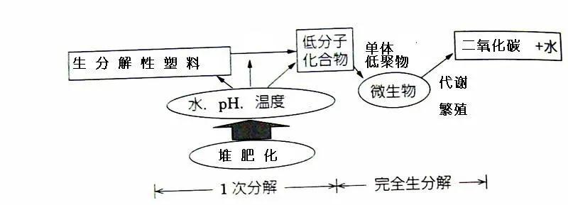 可生物降解環(huán)保塑料可以回收再利用嗎？(圖3)