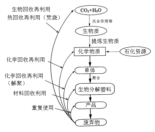 生物分解塑料的回收再利用技術-生物降解環(huán)保塑(圖1)