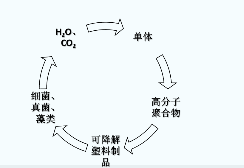 什么是可生物降解塑料？(圖1)