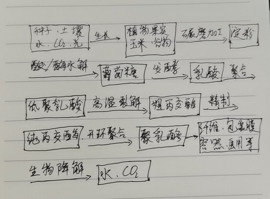 生物降解袋中的PLA是如何制得的？(圖1)