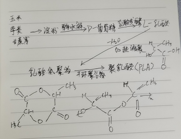 生物降解袋中的PLA是如何制得的？(圖2)